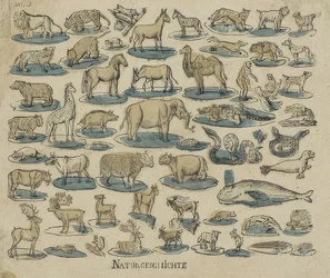 Animals. 1750-1800