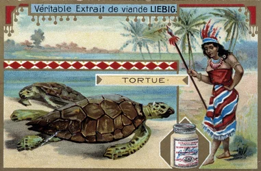 Turtle, with a Woman Dressed Like a Native of South America, Equipped with a Hunting Spear - Liebig Chromolithography
