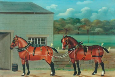 Two Horses in Harness