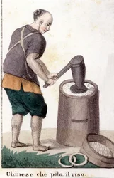 A Chinese Man Pillaging Rice - in Il Costume Universale di Tutti i Popoli del Mondo (The Universal Costume of All the Peoples of the World)