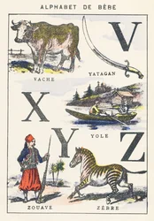 V X Y Z: cow, yole, zouave, zebra