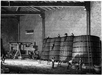 Vats and press used in the wine cellars of Burgundy Clos Vougeot. Engraving of the 19th century