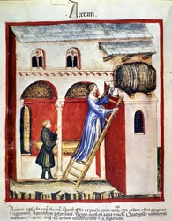 Vinegar production. Illumination from 