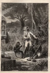 Voyage dans la Caffrerie (South Africa) (1781) by Francois Levaillant: Levaillant and his monkey degustateur Maitre Kees, who tastes the fruits and roots to verify that they are edible - illustration taken from 