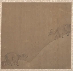 Water Buffaloes