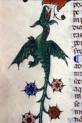 Winged dragon, Caspic, in a 14th century manuscript. Milan, Biblioteca Nazionale Braidense