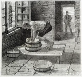 Work of the Tomme by a cheese maker from Auvergne - in 