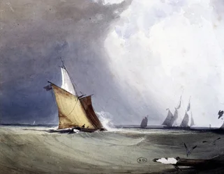 Yachts at Sea