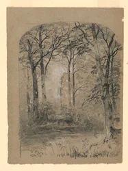 Woodland Study