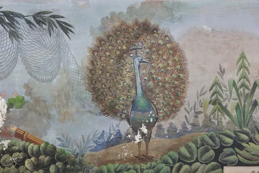 A Peacock (detail)