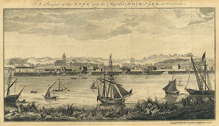 A Prospect of the Town and his Majesty