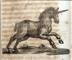 A unicorn, mythological animal - Engraving from a work by Athanasius Kircher