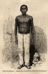 An Indian Mondurucu (or Mundurucu), tribe of the state of Para, in the region of the river Tapajos