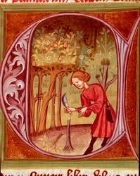 Botany: a gardener transplanting a plant. Miniature from "The Rustican or Book of Country and Rural Profit" (Rerum ruralium commodorum) by Pietro de Crescenzi (Crescent Stone or Crescens Stone) (1233-1320), 14th century. Prague, National Library