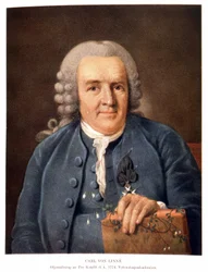 Carl von Linné, Swedish Naturalist and Writer