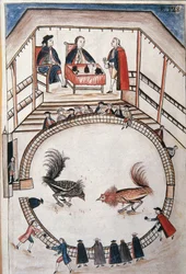 Cockfight, a nobleman attends the duel, from the book "Trujillo del Peru" or "Códice Martínez Compañón" by Baltazar Martínez Compañón y Bujanda, Bishop of Trujillo (1782-1785)
