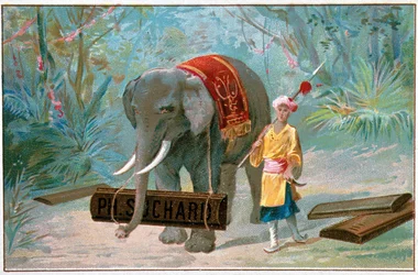 Elephant and Cornac, advertising 