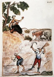 Harvests, Indians of Peru Working in the Fields