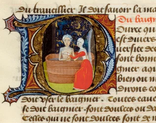 Hygiene and benefits of the toilet, from the Treaty of Medicine by Aldebrande of Florence, manuscript