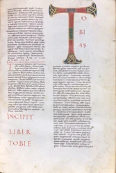 Incipit of the Book of Tobias