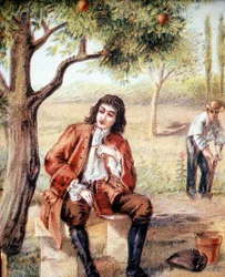 Isaac Newton, English mathematician, physicist and astronomer, finds the theory of gravitation by observing the fall of an apple tree, an illustration of the 19th century