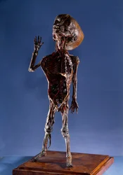 Medicine: Peel Figurine