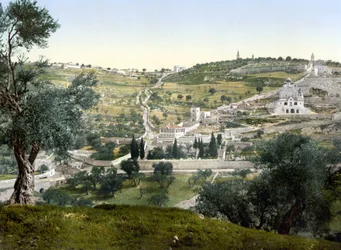 Mount of Olives and Gethsemane, Jerusalem
