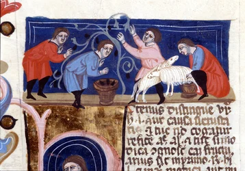 Picking fruit and milking sheep. 14th-century manuscript. Biblioteca Nazionale Braidense, Milan.