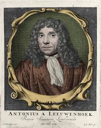 Portrait of Antonie Van Leeuwenhoek, Dutch Naturalist (1632-1723)