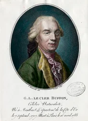 Portrait of George Louis Le Clerc, Count of Buffon