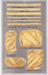 Presentation of different kinds of Italian pasta