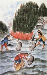 Rabbit hunting, from the book 