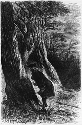 Rene Ferchault de Reaumur, French physicist and naturalist, founder of metallography and first great entomologist, studying processionary caterpillars