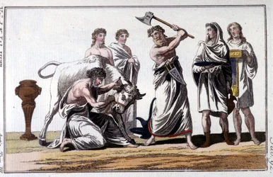 Sacrifice of a bull among the Celts. 19th century engraving.