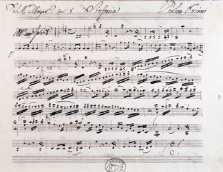 Sheet Music Page for the First Violin in Symphony No. 7 by Mozart
