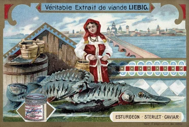 Sturgeon, sterlet, caviar, with a young woman holding buckets, in front of a Russian town - Liebig chromolithography