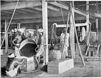 Tea Packaging and Boxing in India