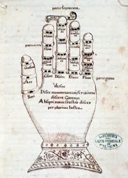 The Guidonian hand