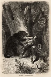 The author, during an excursion around Jacksonville, is surprised in the forest by a domestic bear and chain. Engraving to illustrate the story four months in Florida