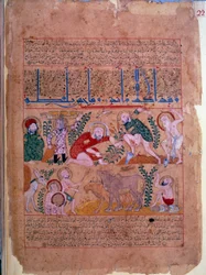 The Doctor Andromakhos Observes the Agricultural Activities