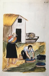 The dyeing of wool, from the book 
