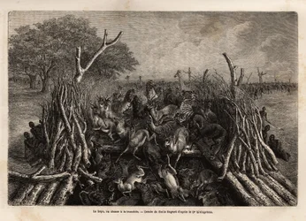 The hopo or hunting technique in the trench, illustration for 