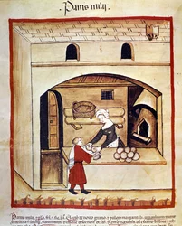 The preparation of bread with millet. Illumination from the milking of medicine and dietetics Tacuinum sanitatis