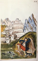 The Shepherd and His Flock of Sheep, from the Book 