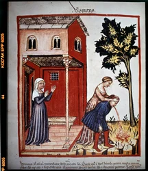 Treatise of medicine 