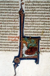 Tree of Jesse, Father of King David
