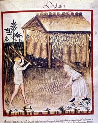 Two peasants recuperate the barley. Illumination from 