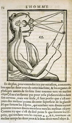 Unknown Image