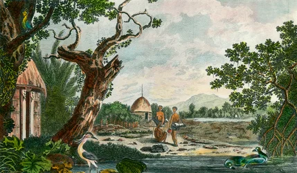 Unknown Image