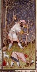 Unknown Image